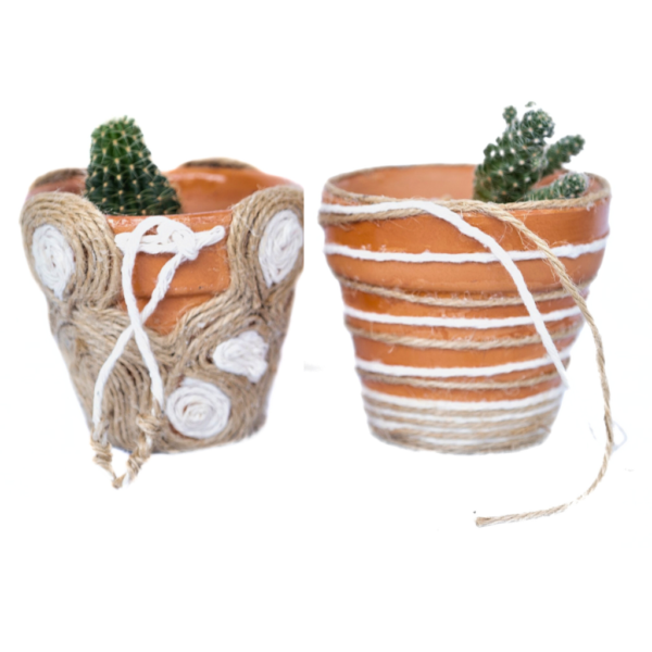 Woven/Unwoven twine cactus pot set
