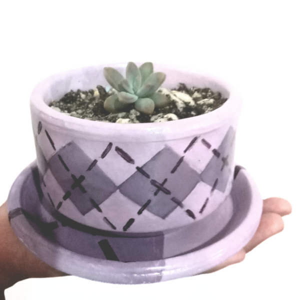 Purple Argyle cactus pot